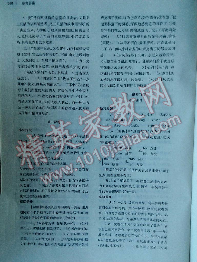 2016年基礎(chǔ)訓(xùn)練七年級(jí)語(yǔ)文下冊(cè)人教版僅限河南省使用大象出版社 第20頁(yè)