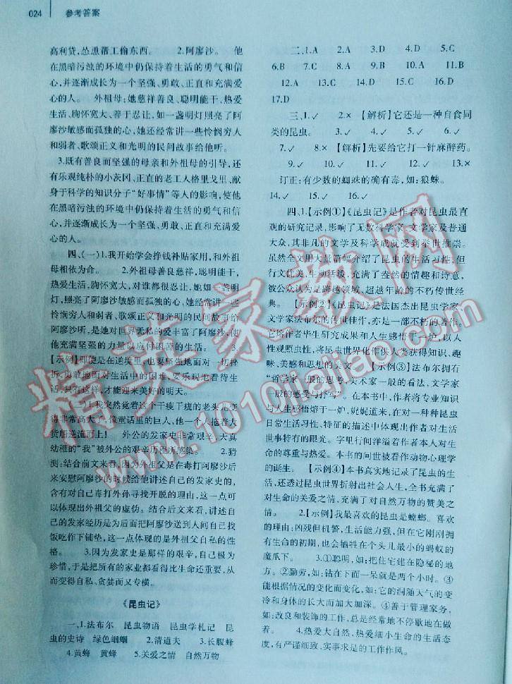 2016年基礎(chǔ)訓(xùn)練七年級語文下冊人教版僅限河南省使用大象出版社 第24頁