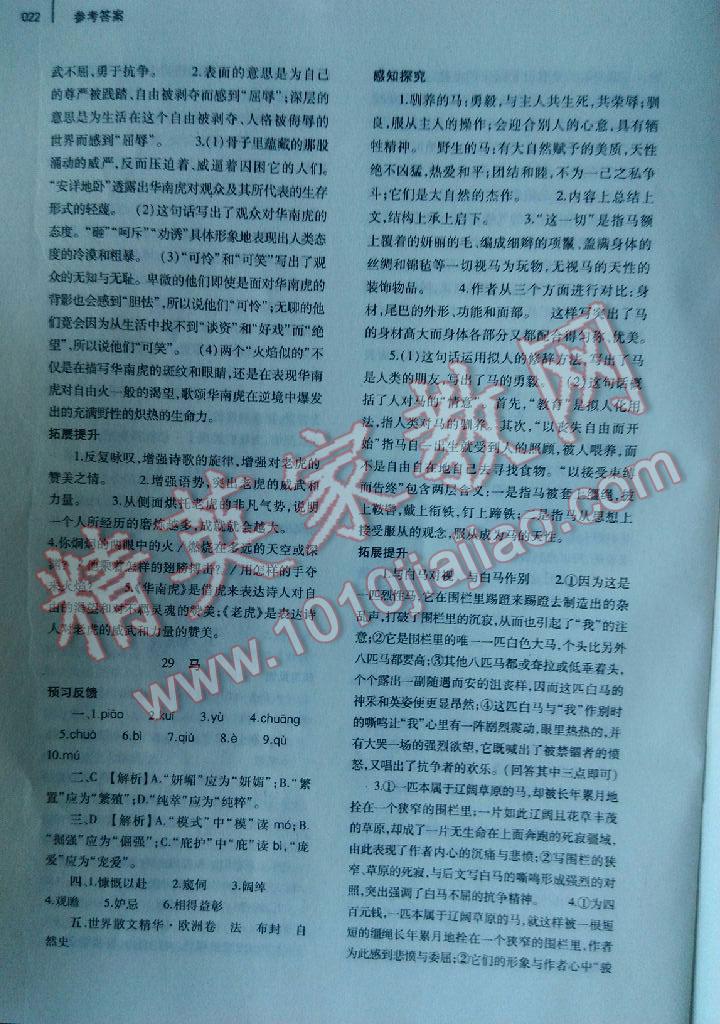 2016年基礎(chǔ)訓(xùn)練七年級語文下冊人教版僅限河南省使用大象出版社 第22頁