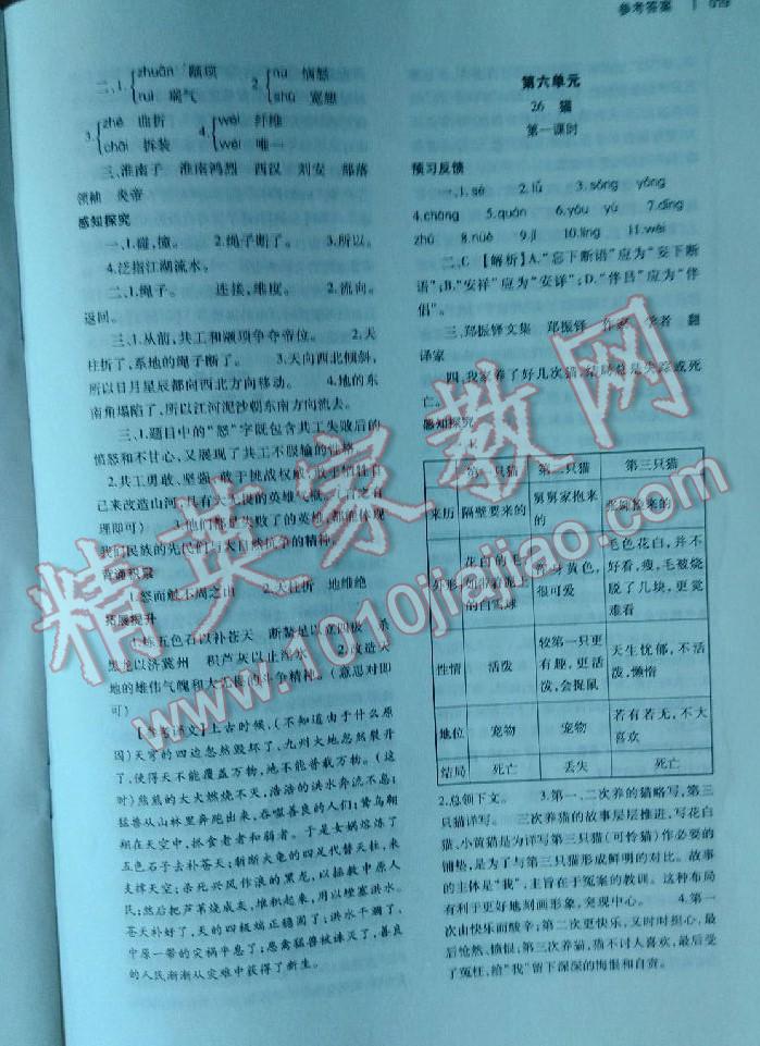 2016年基礎(chǔ)訓(xùn)練七年級語文下冊人教版僅限河南省使用大象出版社 第19頁