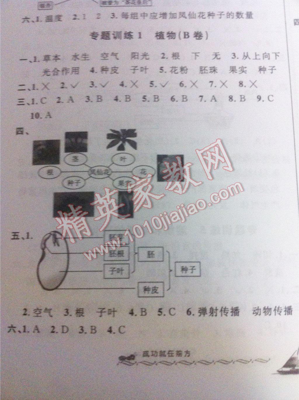 2016年小學畢業(yè)升學系統(tǒng)總復習科學 第8頁