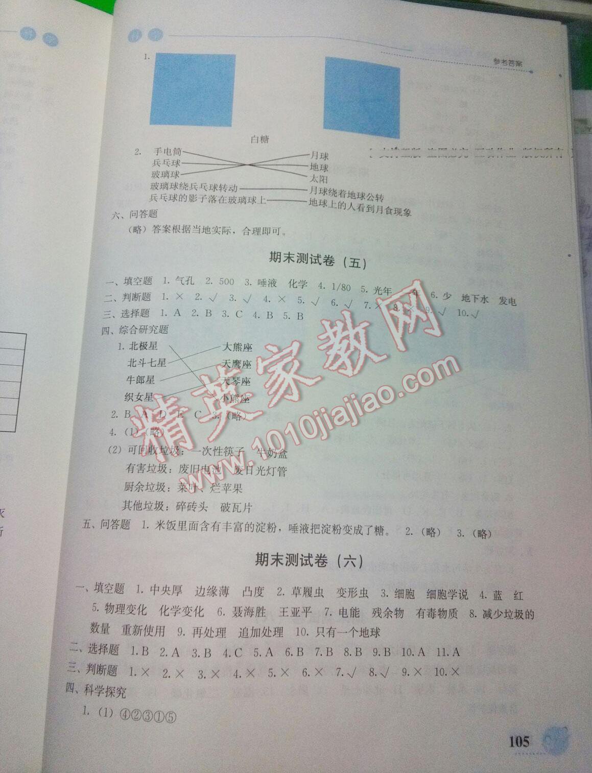 2016年开放课堂义务教育新课程导学案六年级科学下册教科版 第16页