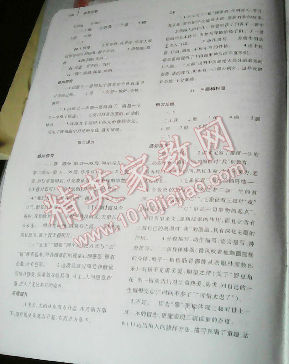 2015年基礎訓練七年級語文下冊人教版僅限河南省使用大象出版社 第131頁