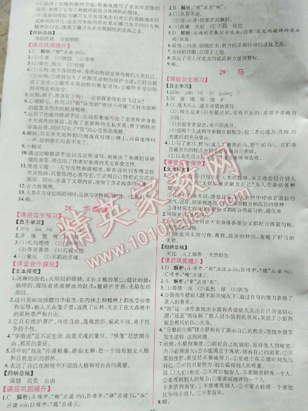 2016年同步导学案课时练七年级语文下册人教版 第41页