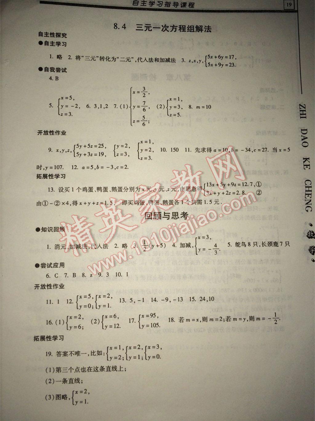 2015年自主學(xué)習(xí)指導(dǎo)課程七年級(jí)數(shù)學(xué)下冊(cè) 參考答案第19頁(yè)