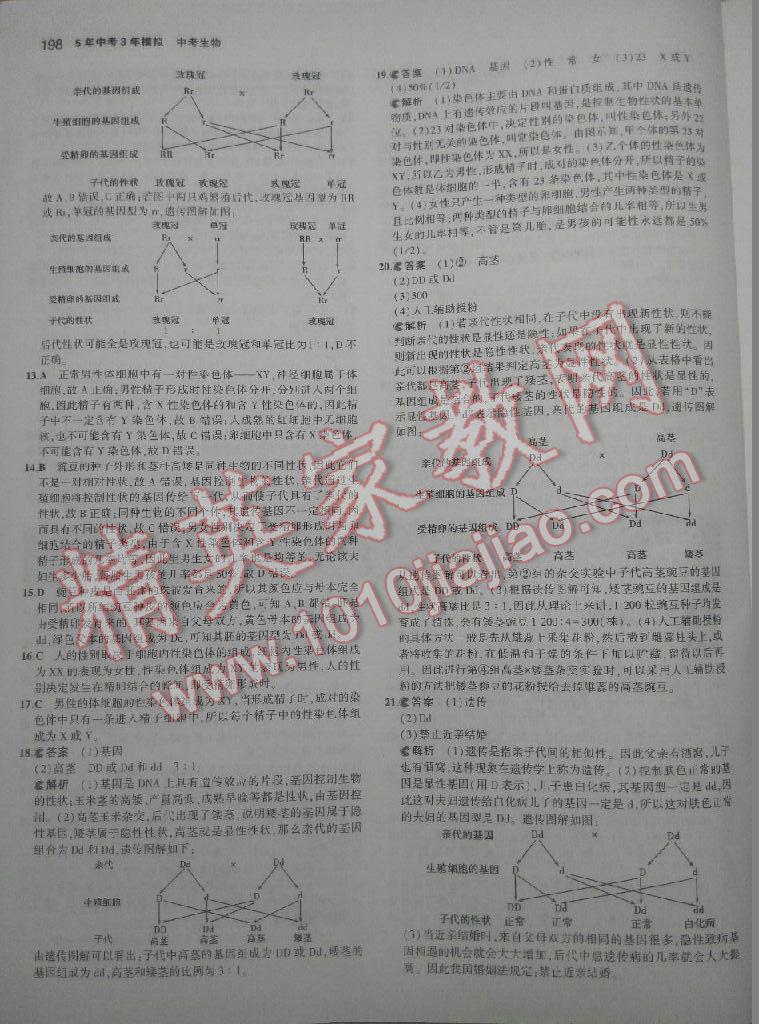 2016年5年中考3年模拟中考生物 第70页