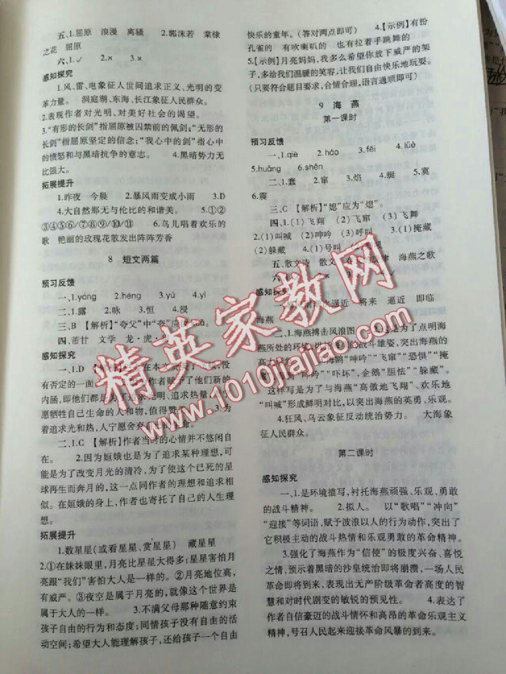 2014年基礎(chǔ)訓(xùn)練八年級(jí)語(yǔ)文下冊(cè)人教版 第320頁(yè)