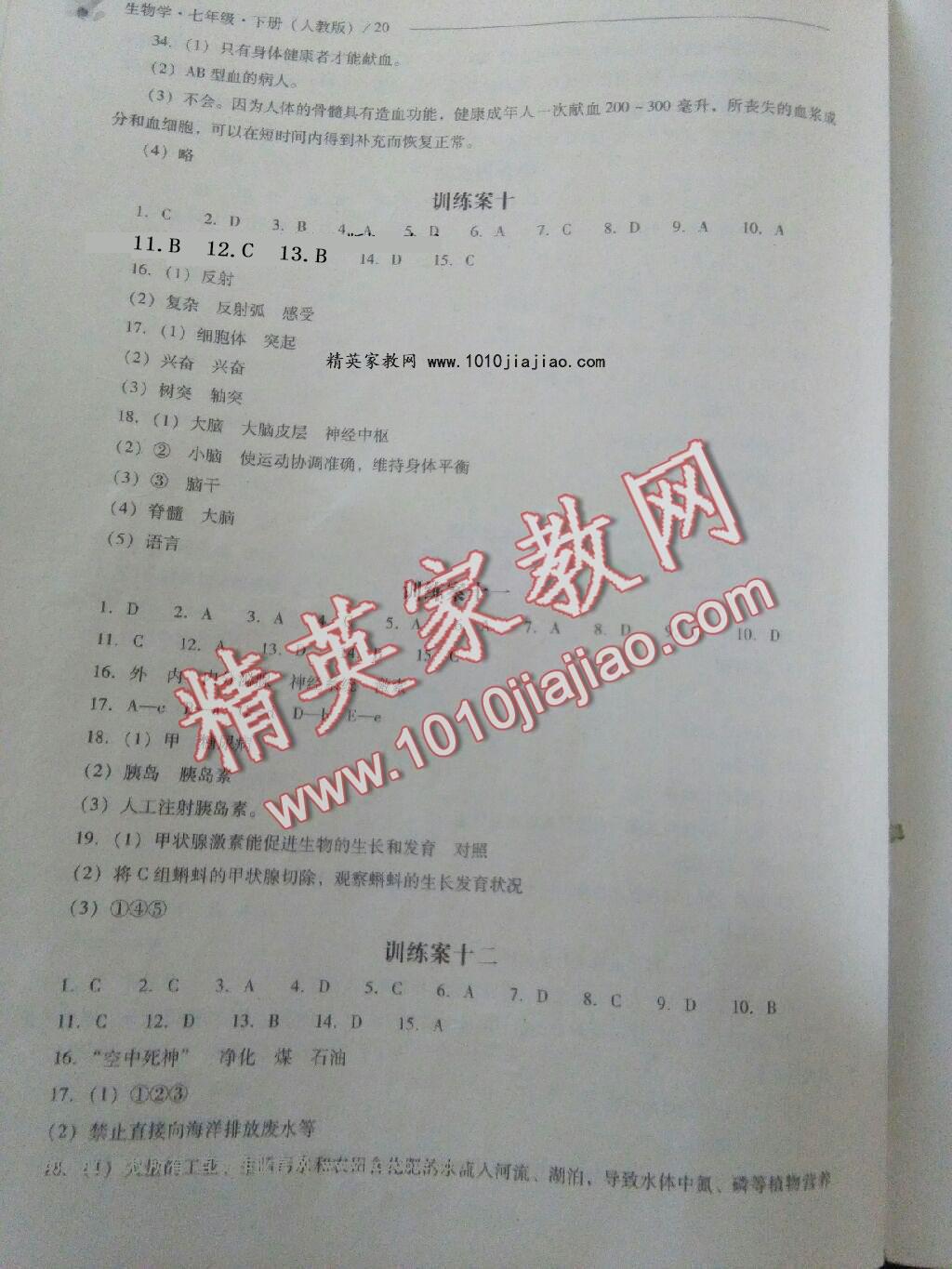 2016年新課程問題解決導(dǎo)學(xué)方案七年級生物學(xué)下冊人教版 第64頁