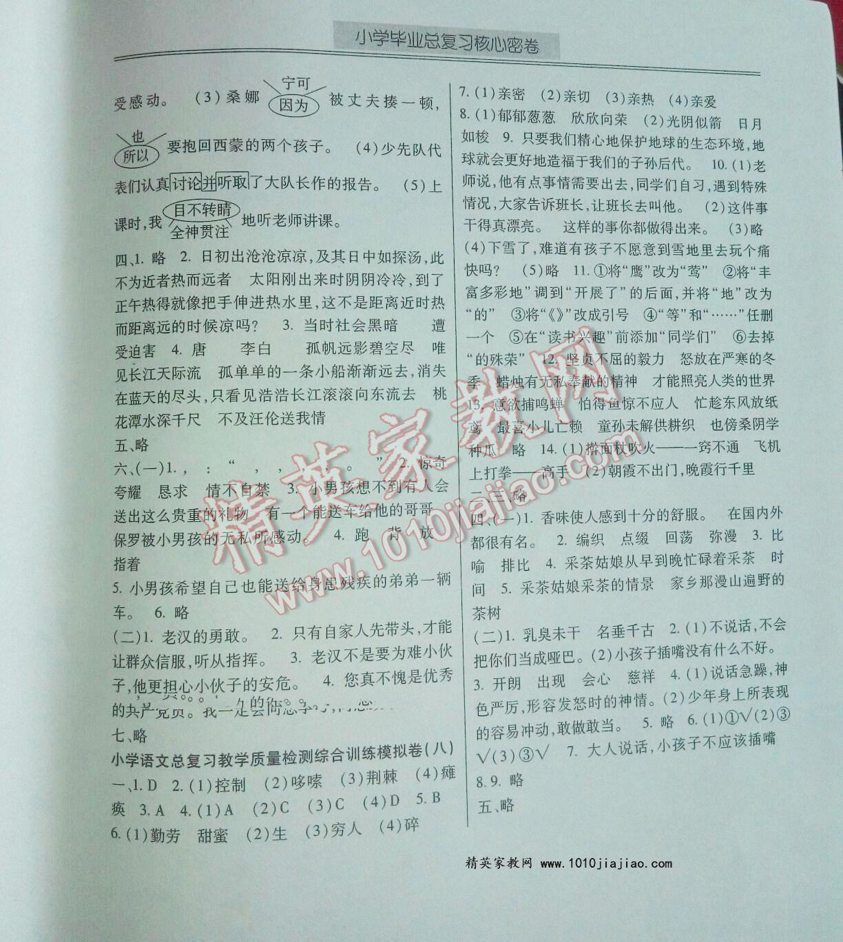 2016年云南省一线名师小学毕业总复习核心密卷语文 第10页