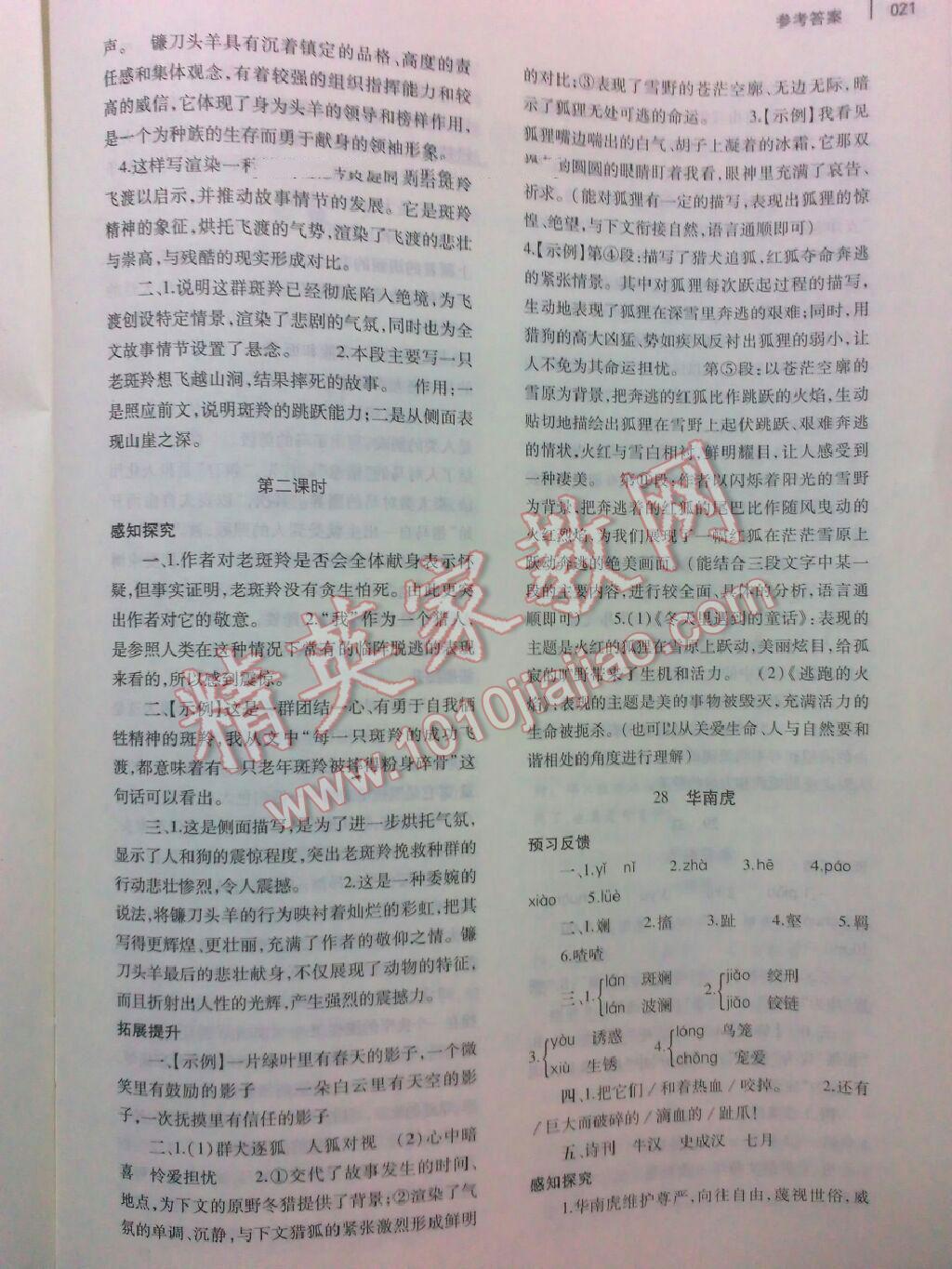 2016年基礎(chǔ)訓(xùn)練七年級(jí)語(yǔ)文下冊(cè)人教版河南省內(nèi)使用大象出版社 第42頁(yè)