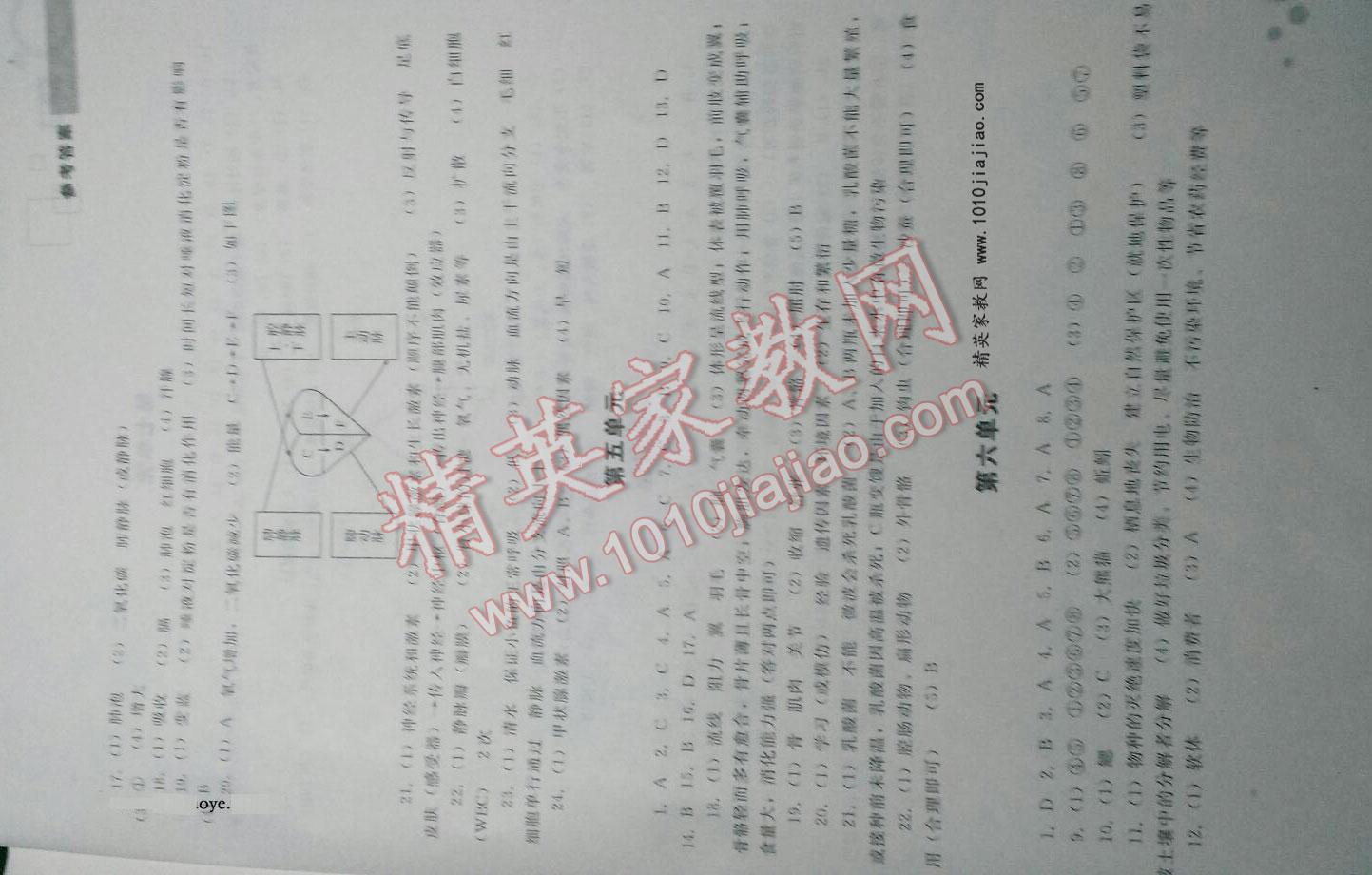 2016年初中毕业学业考试指导丛书生物 第3页