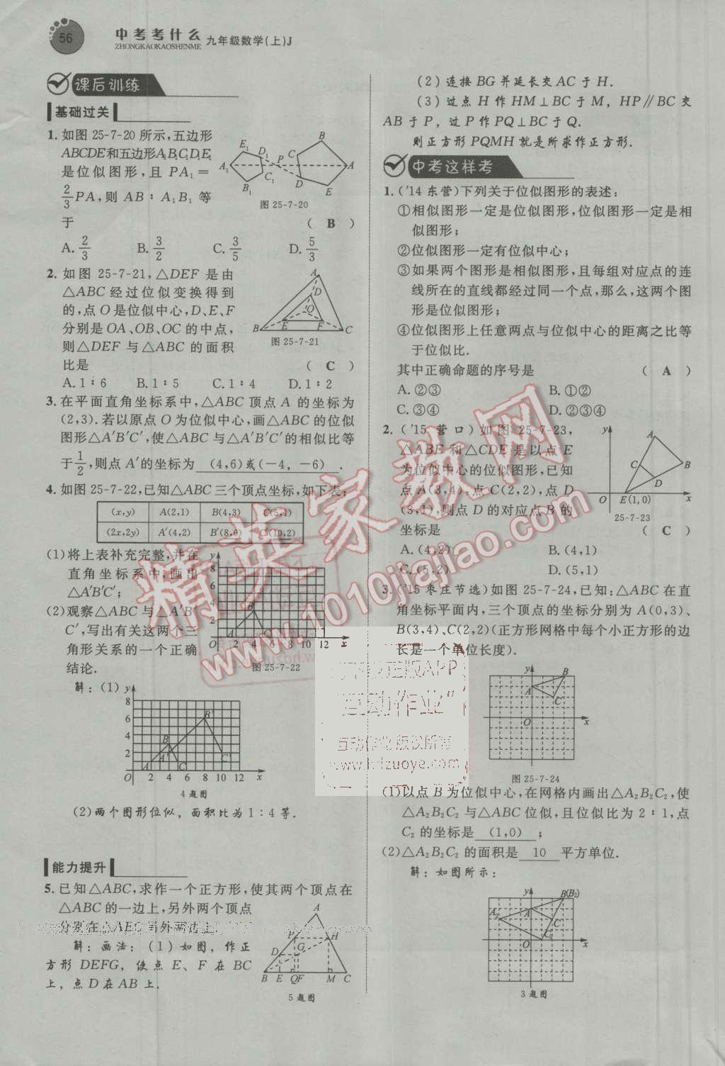 2016年中考考什么高效課堂導學案九年級數(shù)學上冊冀教版 第56頁