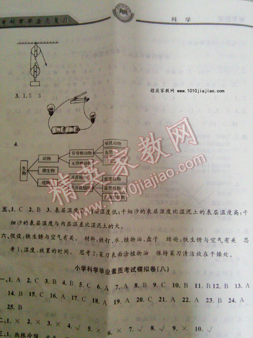 孟建平小學科學畢業(yè)總復習 第14頁