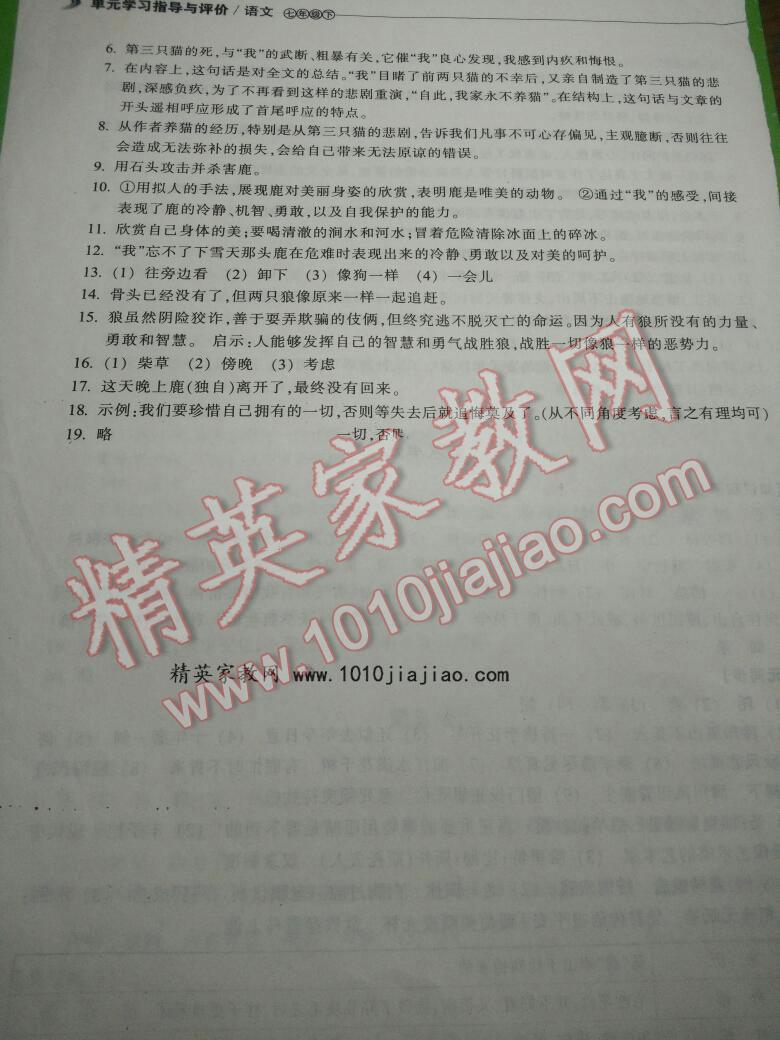 2015年单元学习指导与评价七年级语文下册 第47页