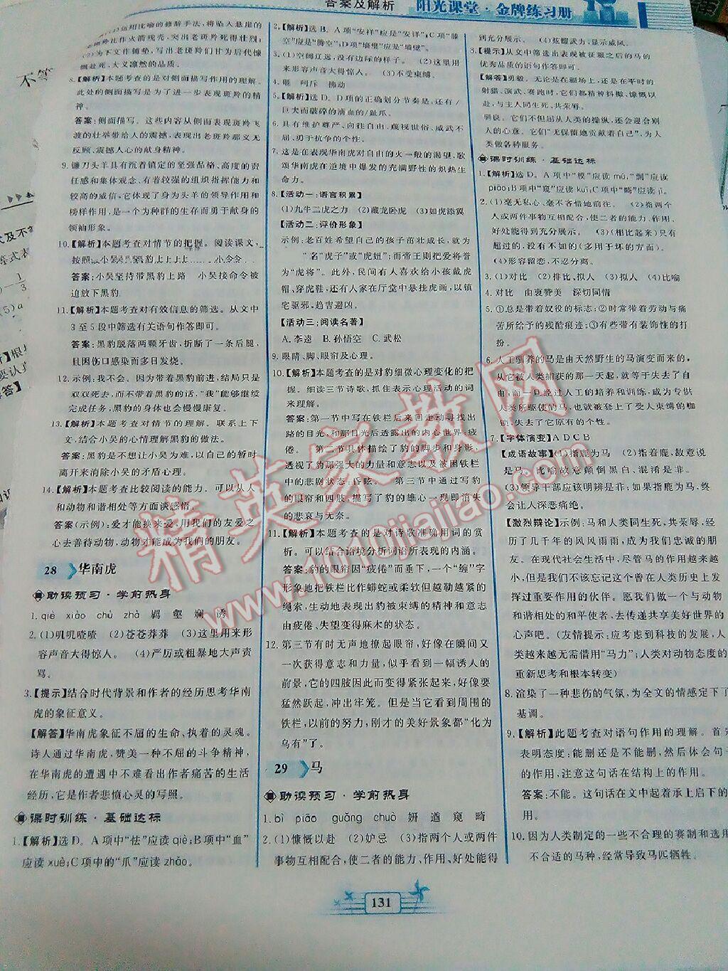 2016年阳光课堂金牌练习册七年级语文下册人教版 第169页