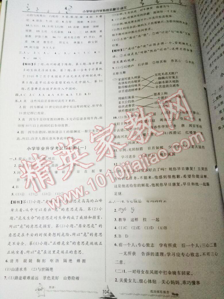 小学毕业升学系统总复习语文 第143页