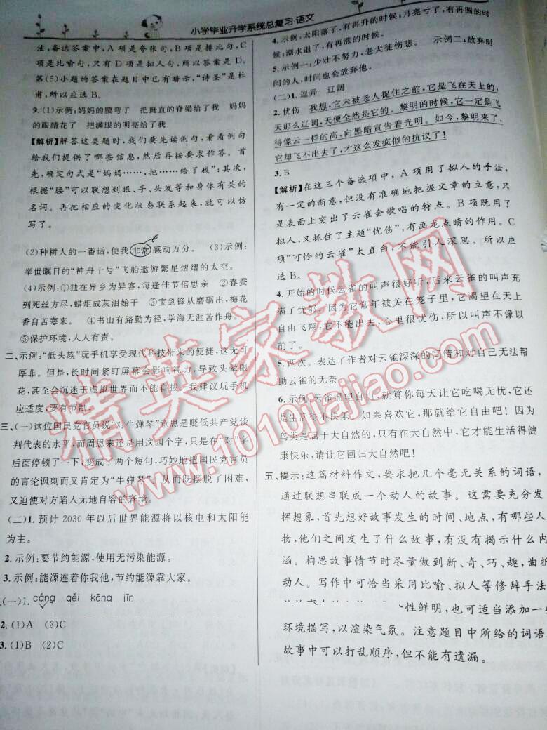 小学毕业升学系统总复习语文 第147页