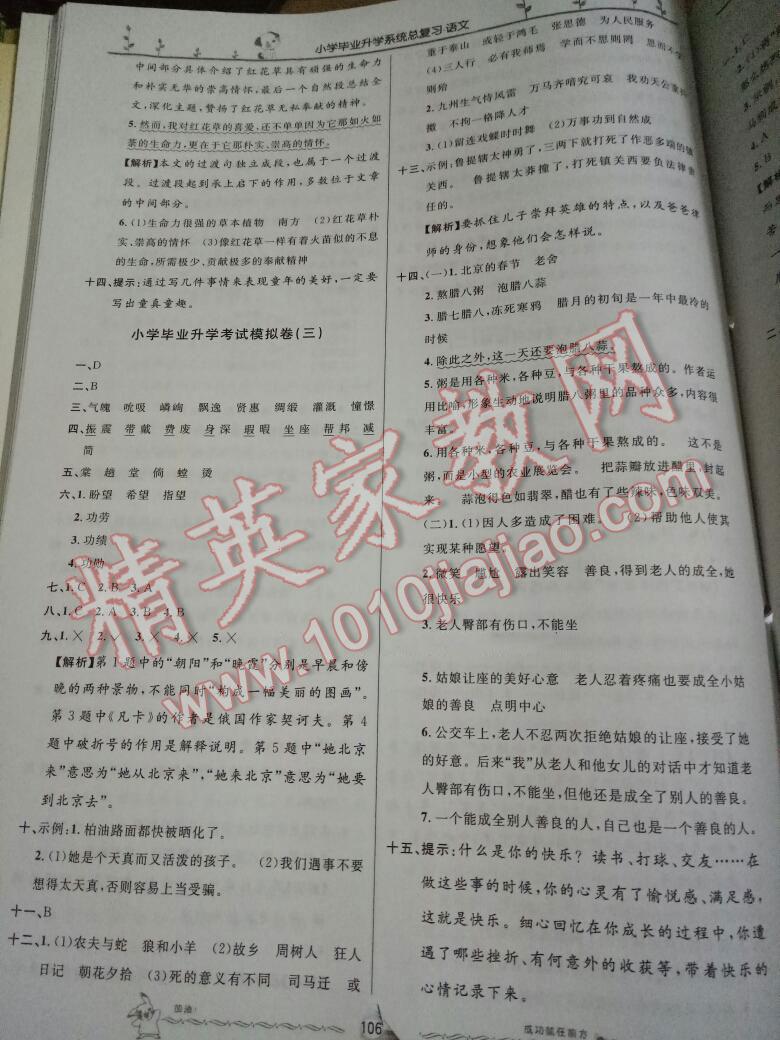 小学毕业升学系统总复习语文 第145页