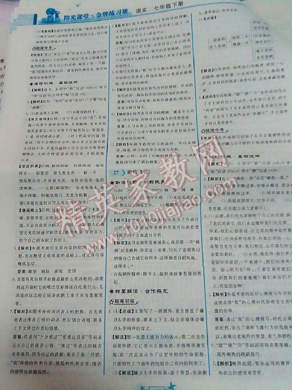 2016年阳光课堂金牌练习册七年级语文下册人教版 第168页