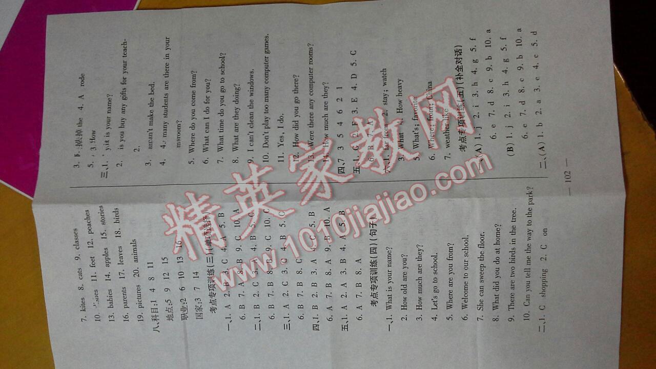 2016年小学毕业升学总复习全真模拟试卷英语 第2页