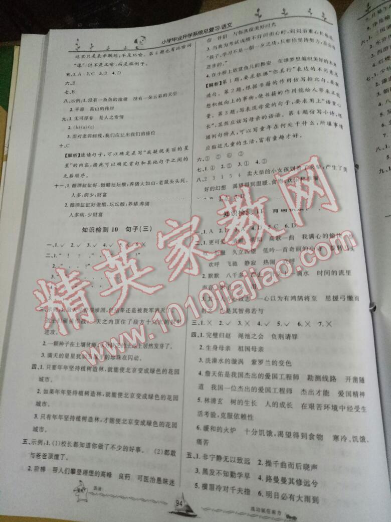 小学毕业升学系统总复习语文 第133页