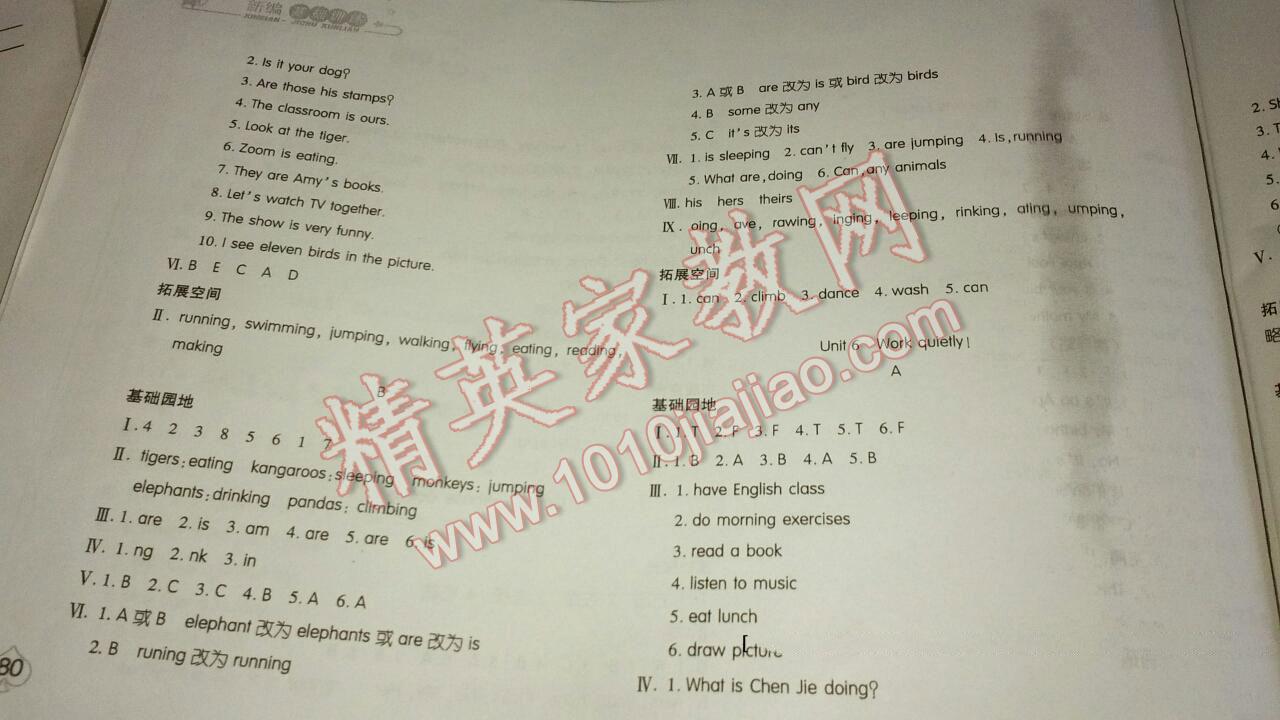 2016年新編基礎(chǔ)訓(xùn)練五年級英語下冊人教版 第5頁