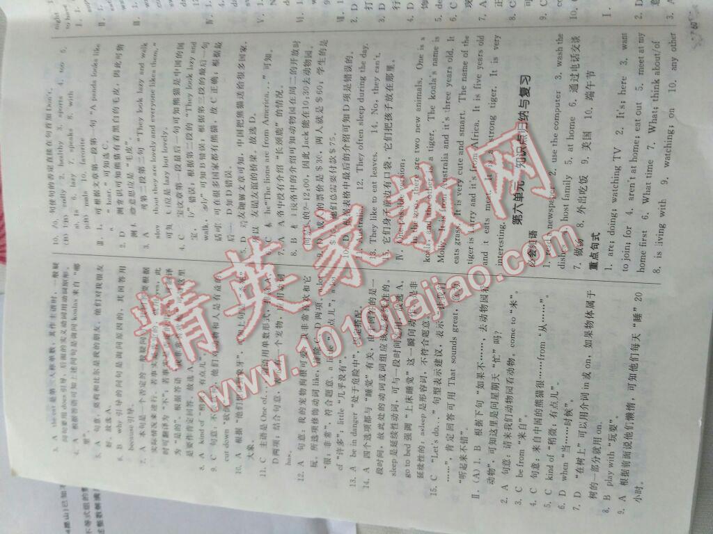 2016年单元加期末复习与测试七年级英语下册人教版 第28页