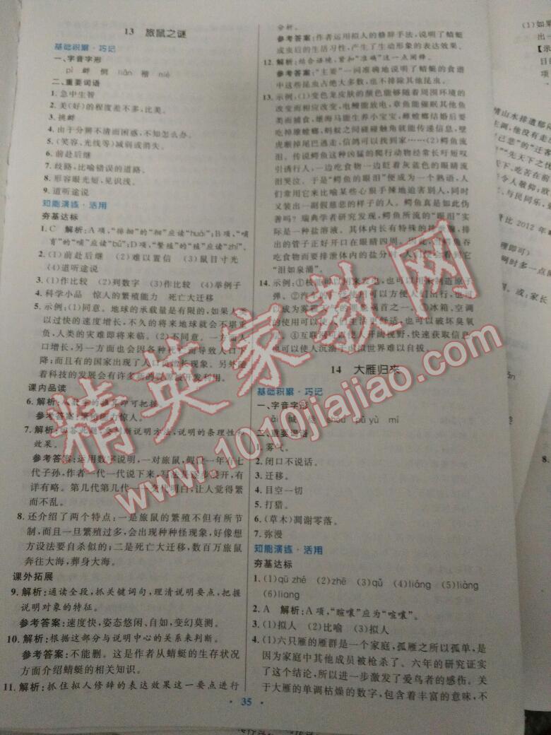 2016年初中同步測控優(yōu)化設(shè)計(jì)八年級語文下冊人教版 第74頁