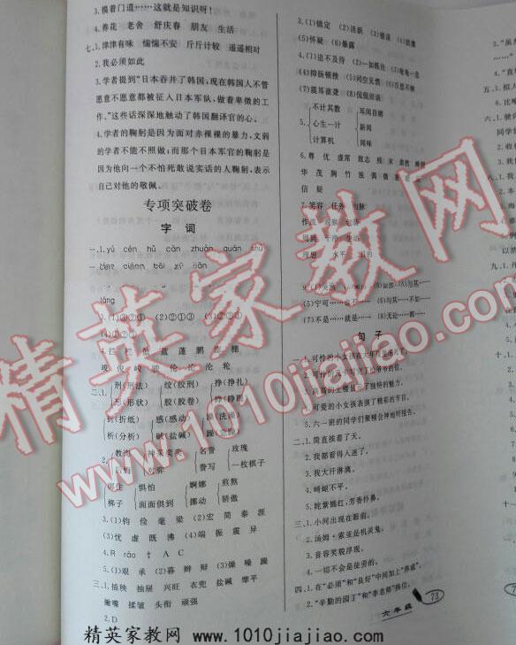 2015年亮點(diǎn)激活精編提優(yōu)大試卷六年級(jí)語文下冊(cè)人教版 第17頁