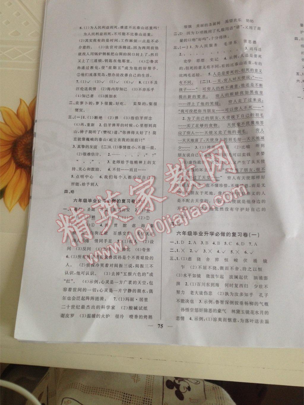 2014年小学毕业升学复习必做的18套试卷语文 第3页