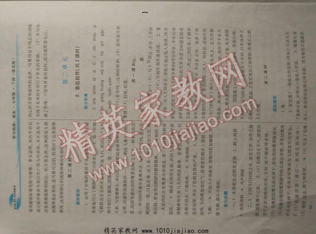 2016年学习检测练习册七年级语文下册河南大学出版社 第62页