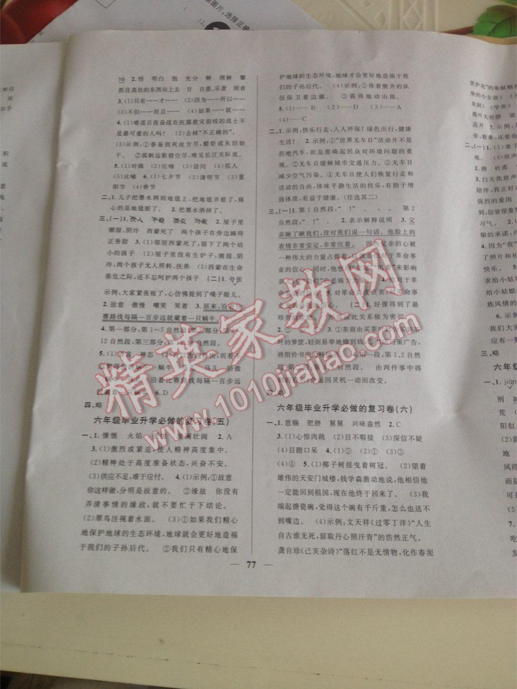 2014年小学毕业升学复习必做的18套试卷语文 第5页