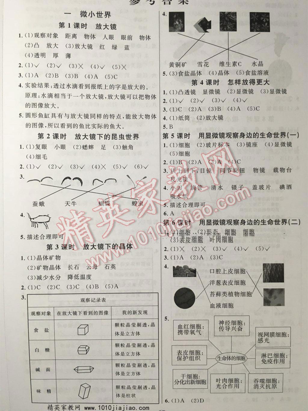 2016年陽光課堂課時(shí)優(yōu)化作業(yè)六年級科學(xué)下冊教科版 第1頁