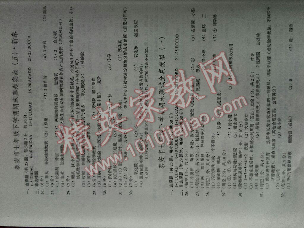 2016年名校课堂滚动学习法七年级英语下册人教版 第42页