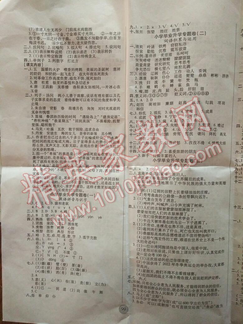 2016年小学毕业升学全程总复习金榜小状元语文 第3页