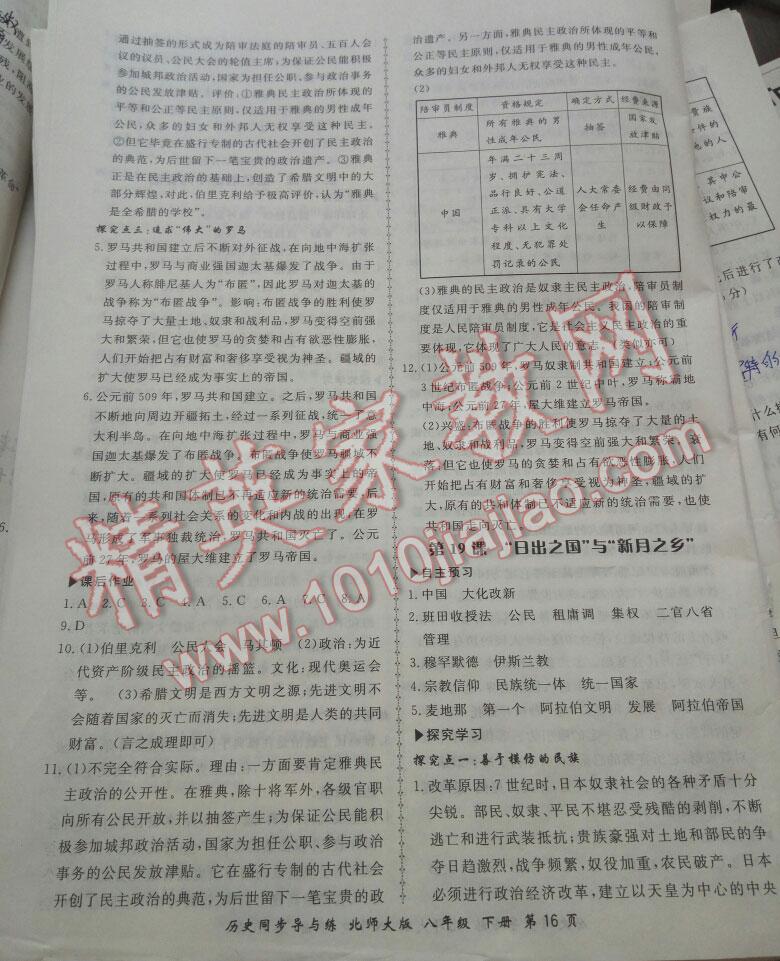 2016年新學(xué)案同步導(dǎo)與練八年級歷史下冊北師大版 第16頁