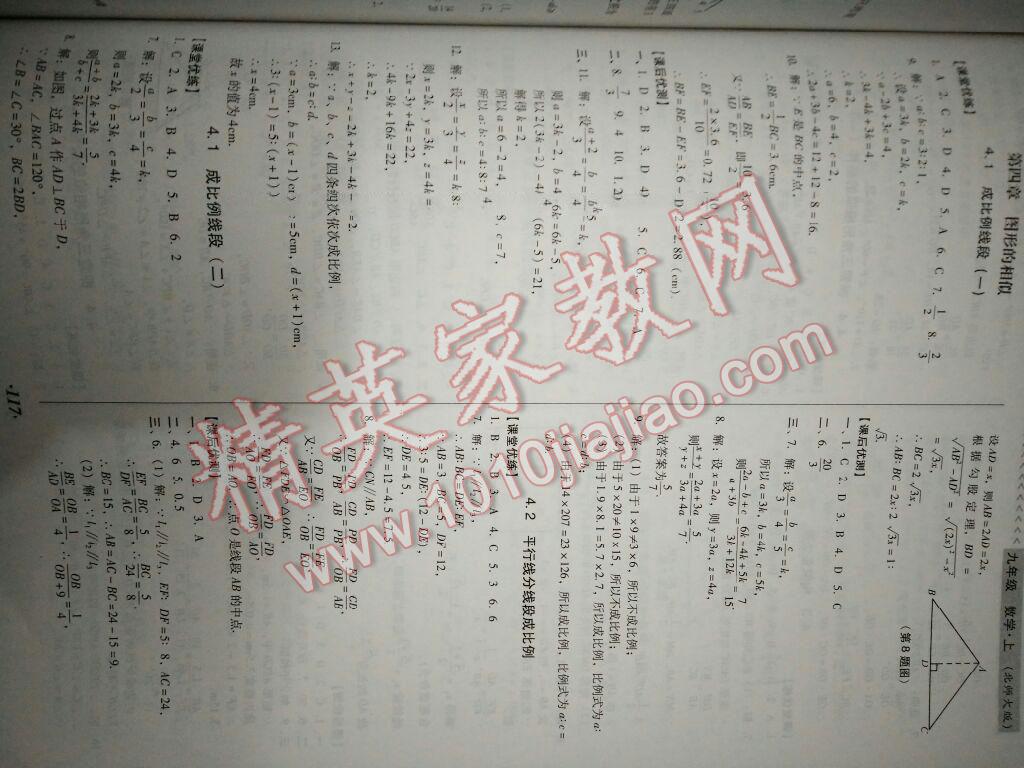 2016年全優(yōu)點練課計劃九年級數(shù)學(xué)上冊北師大版 第13頁