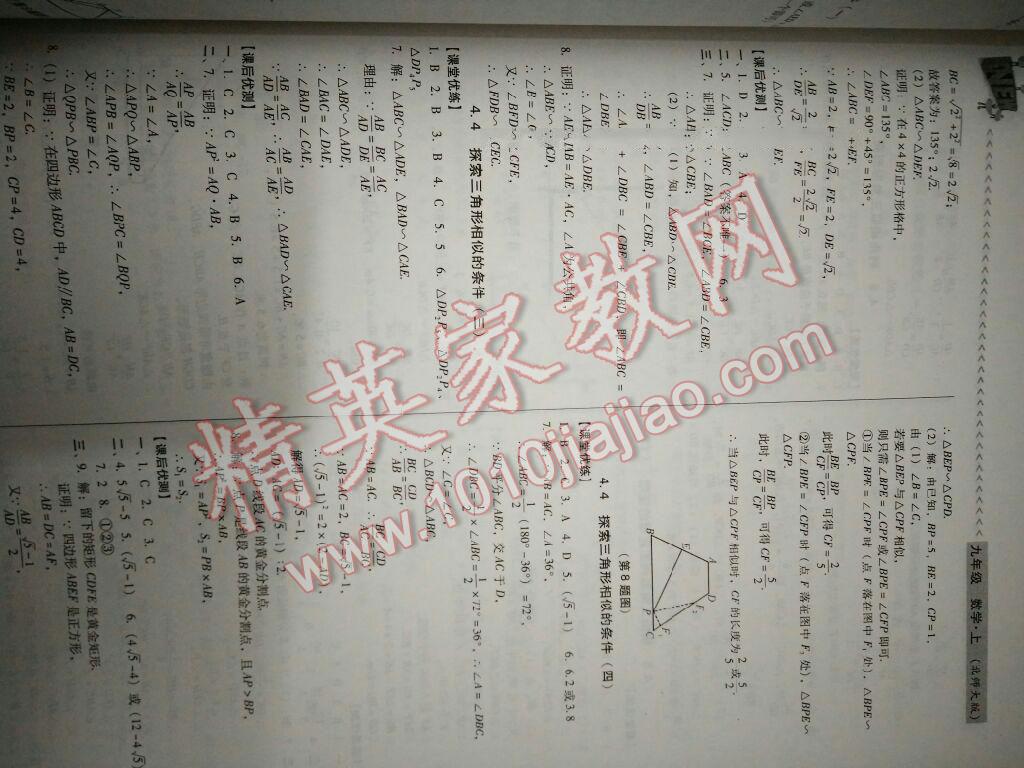 2016年全優(yōu)點練課計劃九年級數(shù)學(xué)上冊北師大版 第11頁