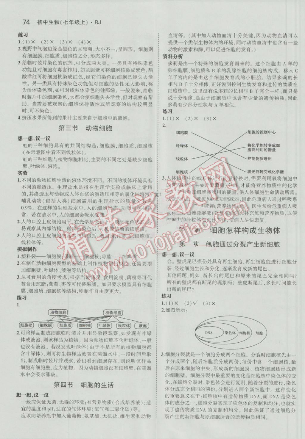 課本人教版七年級生物學上冊 第4頁