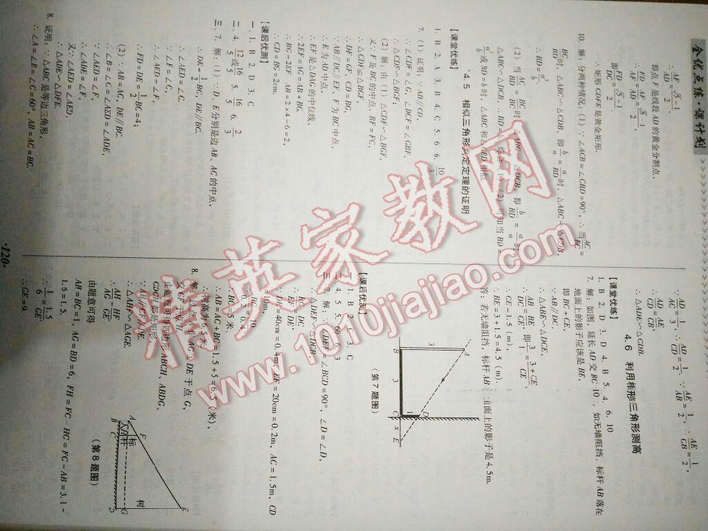 2016年全优点练课计划九年级数学上册北师大版 第10页