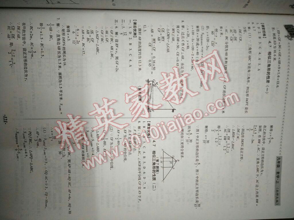 2016年全优点练课计划九年级数学上册北师大版 第8页