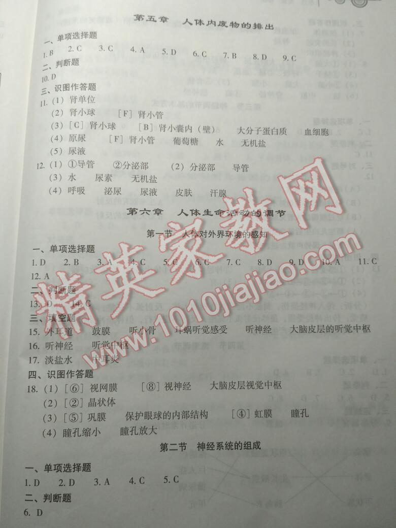 2016年學(xué)習(xí)探究診斷七年級(jí)生物下冊(cè) 第19頁(yè)