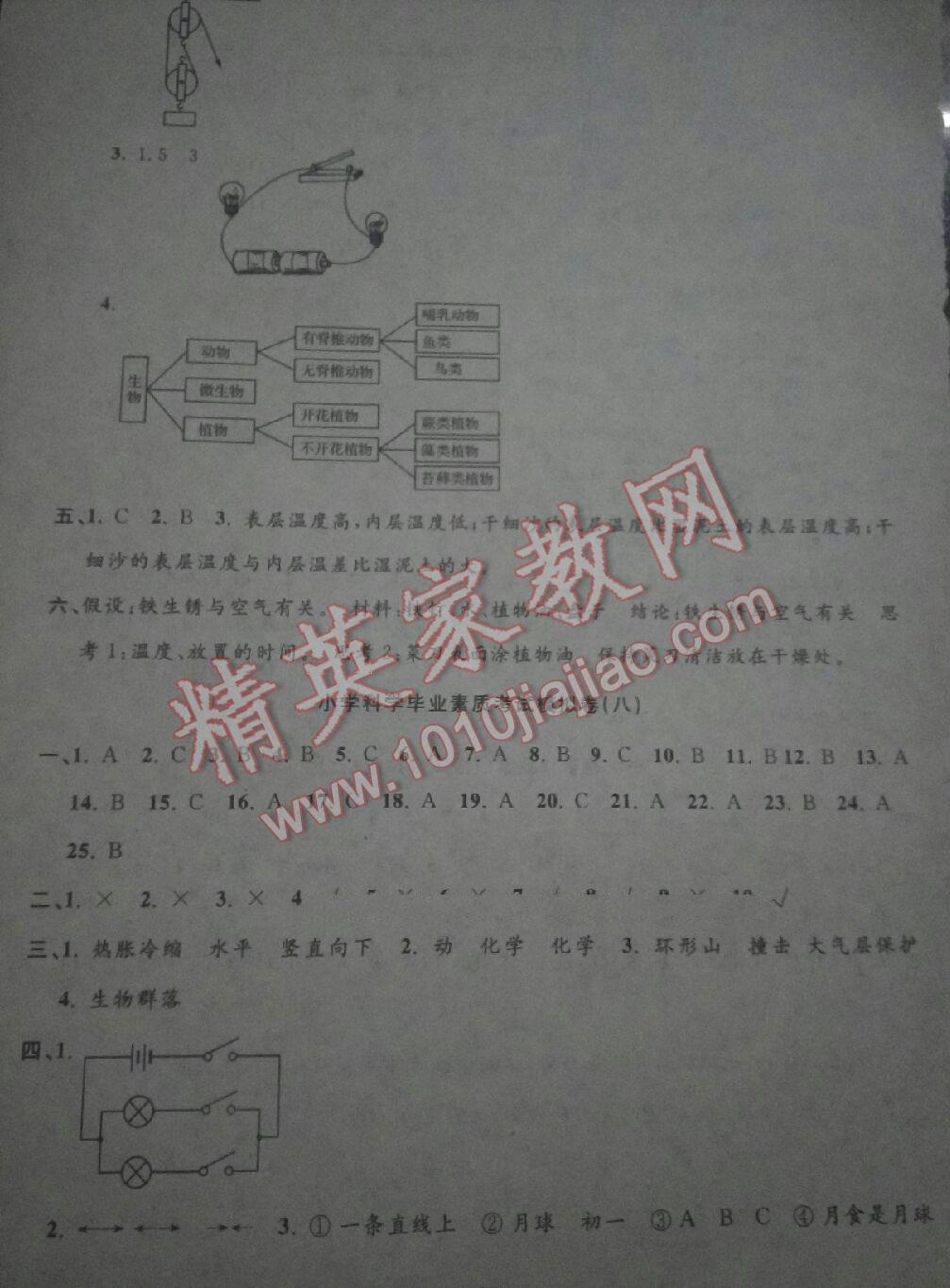 2016年孟建平小學科學畢業(yè)總復習 第13頁