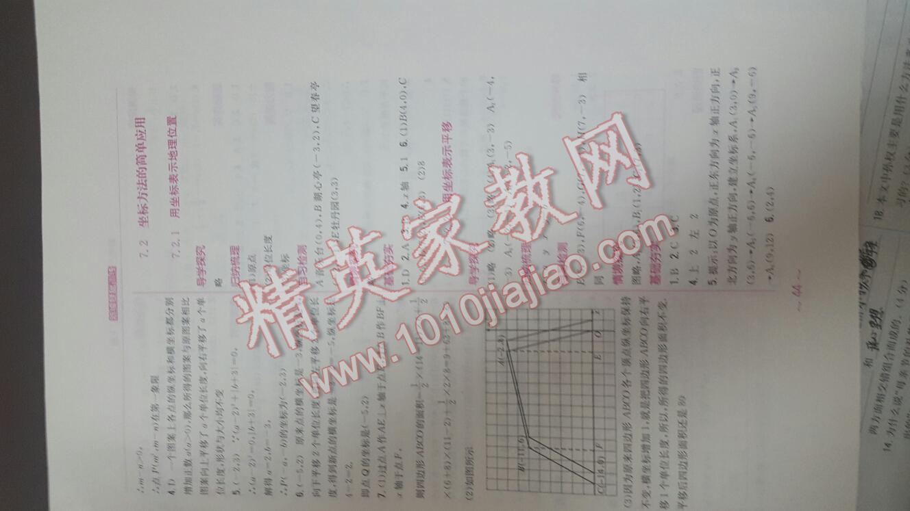 2016年新编基础训练七年级数学下册人教版 第44页