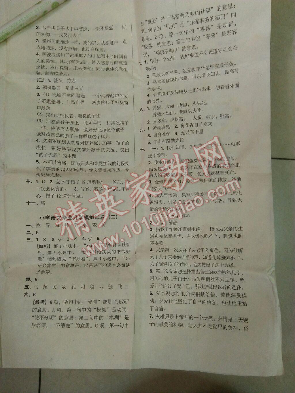 小学毕业升学模拟试卷及真题精选 第14页