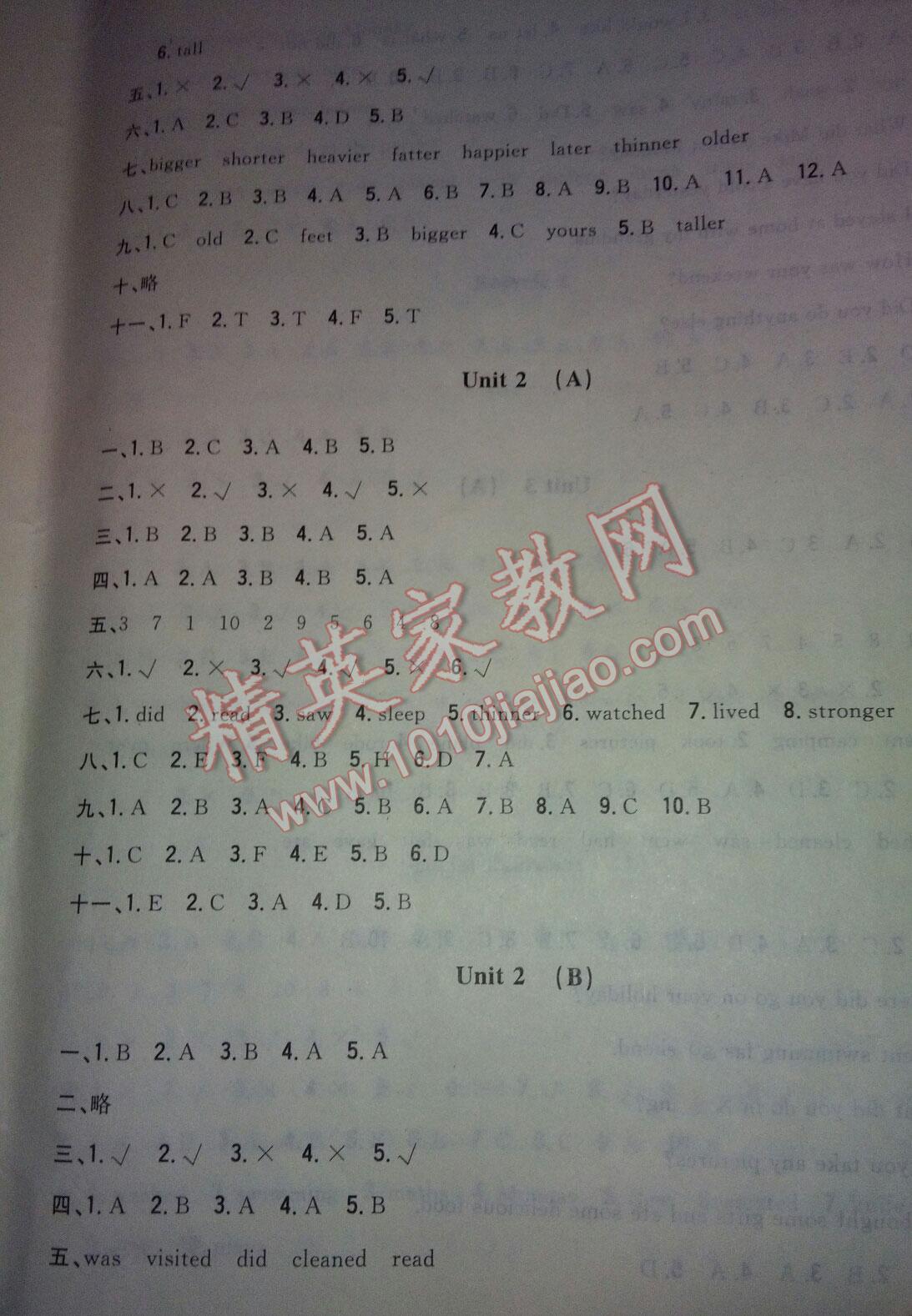 2016年小學(xué)生綜合素質(zhì)測(cè)評(píng)卷六年級(jí)英語(yǔ)下冊(cè) 第12頁(yè)