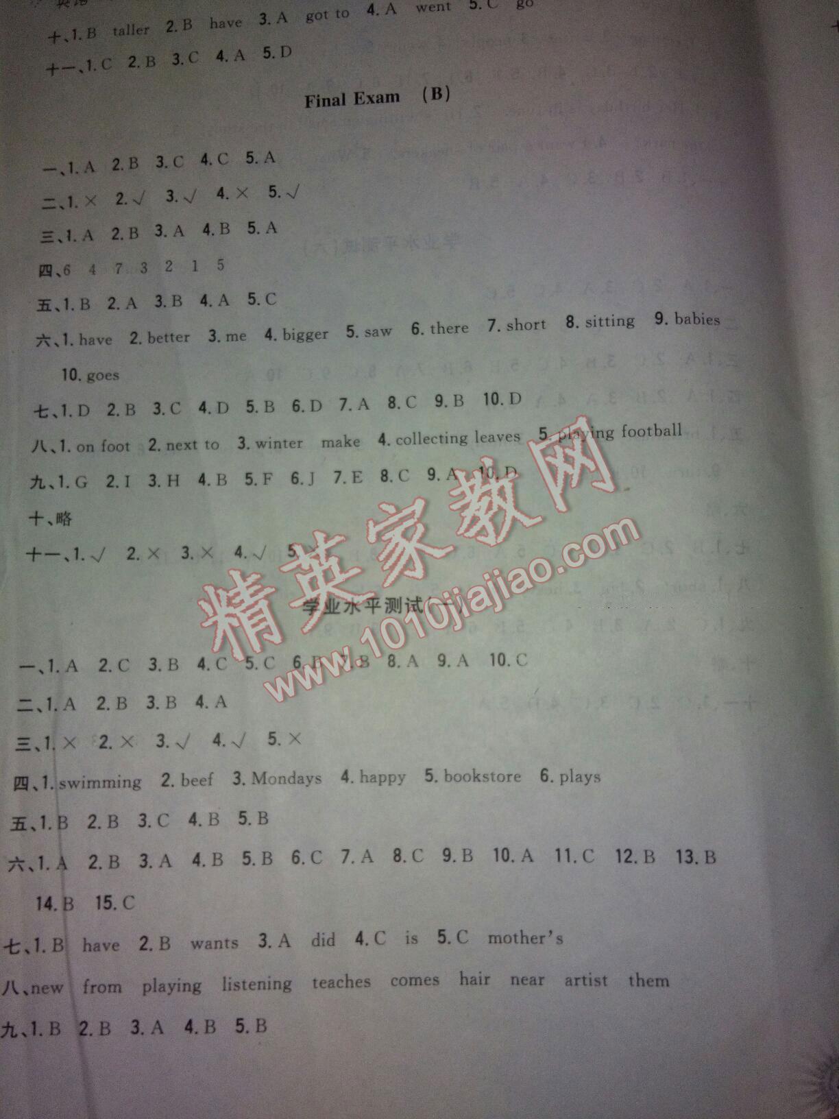 2016年小學(xué)生綜合素質(zhì)測(cè)評(píng)卷六年級(jí)英語(yǔ)下冊(cè) 第19頁(yè)