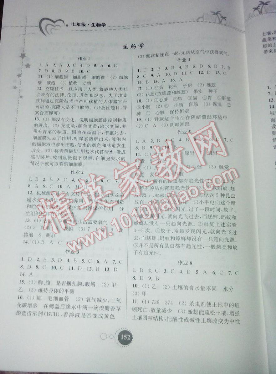 2015年快乐暑假七年级东南大学出版社 第18页