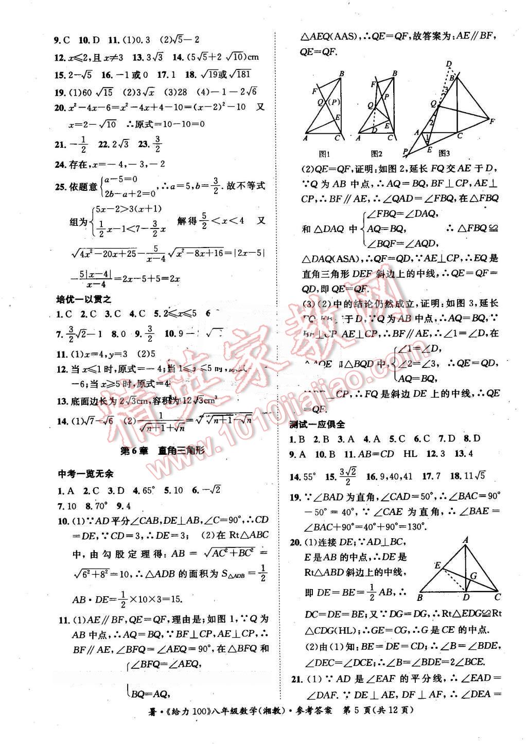 2016年新浪書業(yè)學(xué)年總復(fù)習(xí)給力100暑八年級數(shù)學(xué)湘教版 第5頁