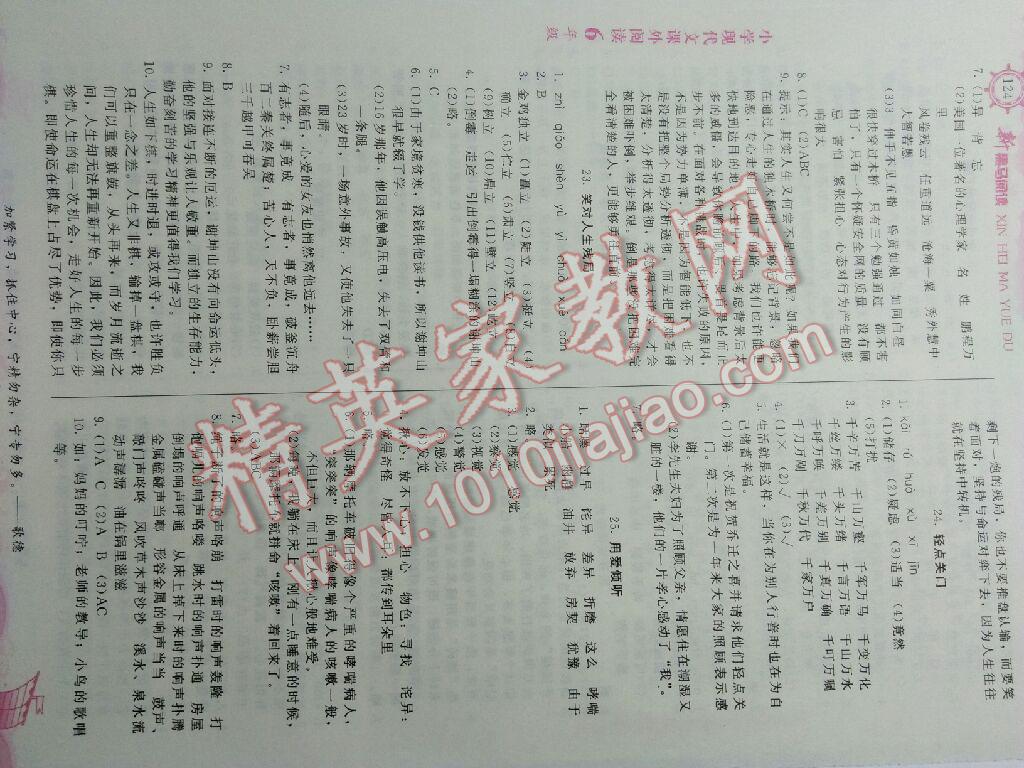 新黑马阅读现代文课外阅读小学六年级 第25页